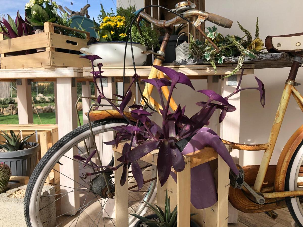 B&B Casa Del Faro Sanvallero Adults Only Portopalo Di Capo Passero ภายนอก รูปภาพ